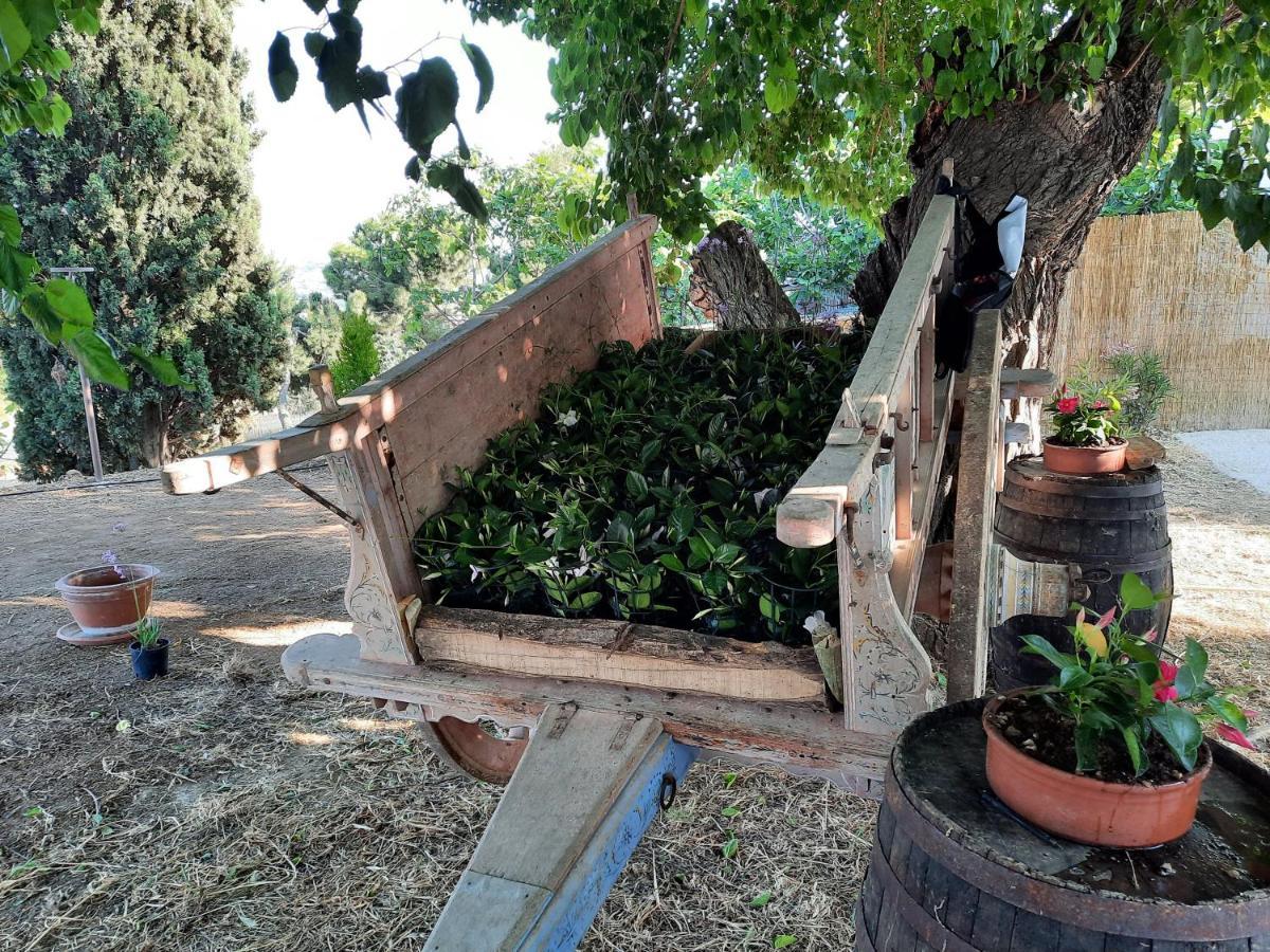 Tenuta Coppa Zuccari Città Sant'Angelo Esterno foto