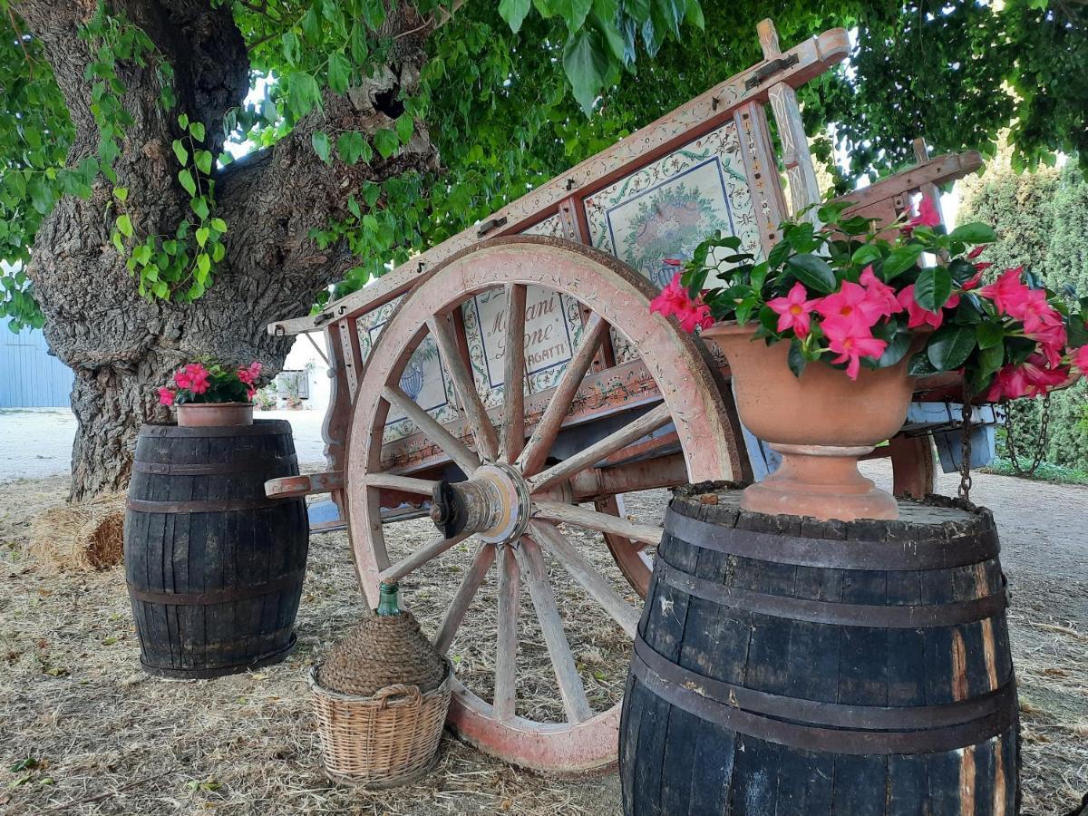 Tenuta Coppa Zuccari Città Sant'Angelo Esterno foto