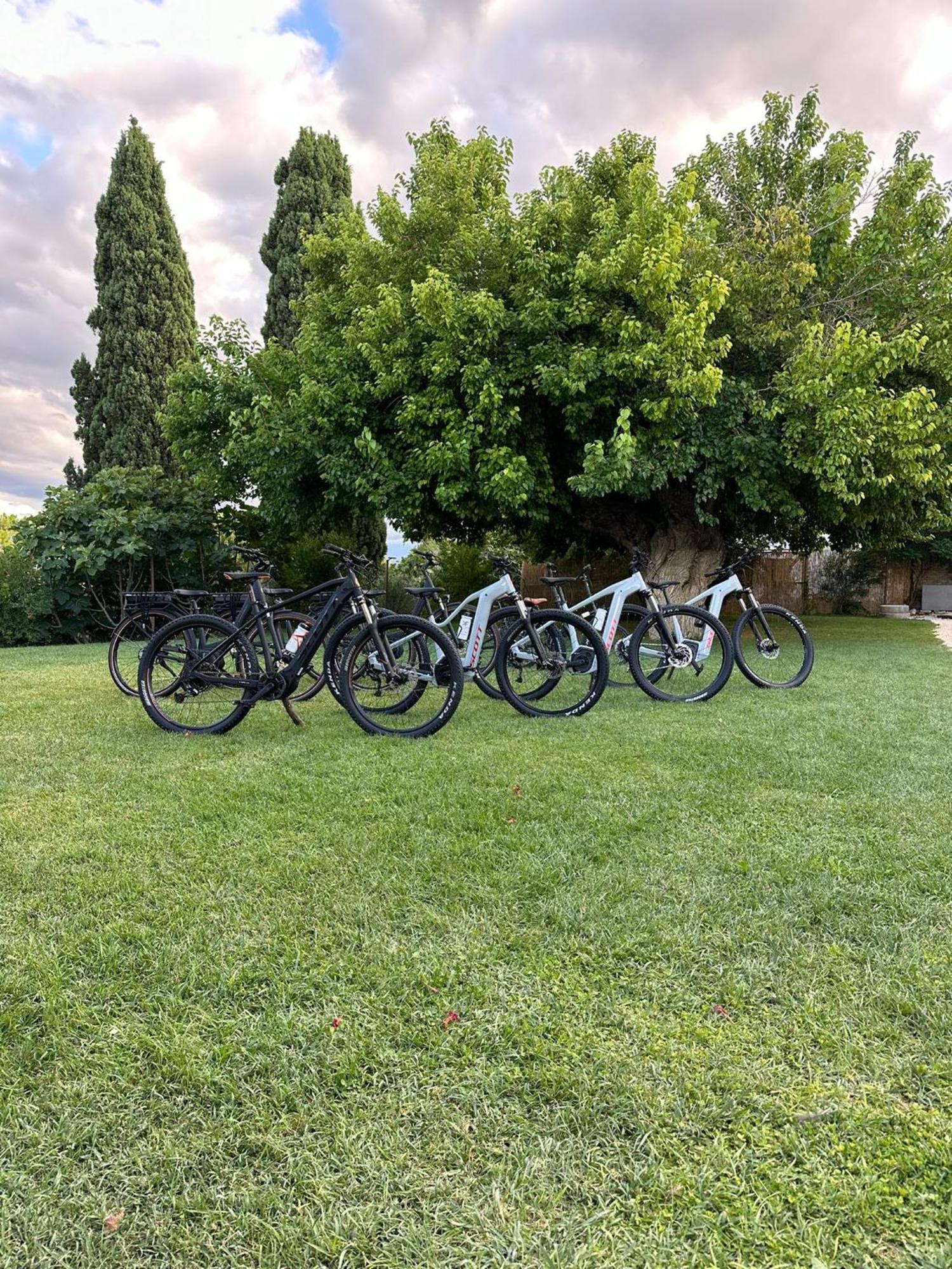 Tenuta Coppa Zuccari Città Sant'Angelo Esterno foto