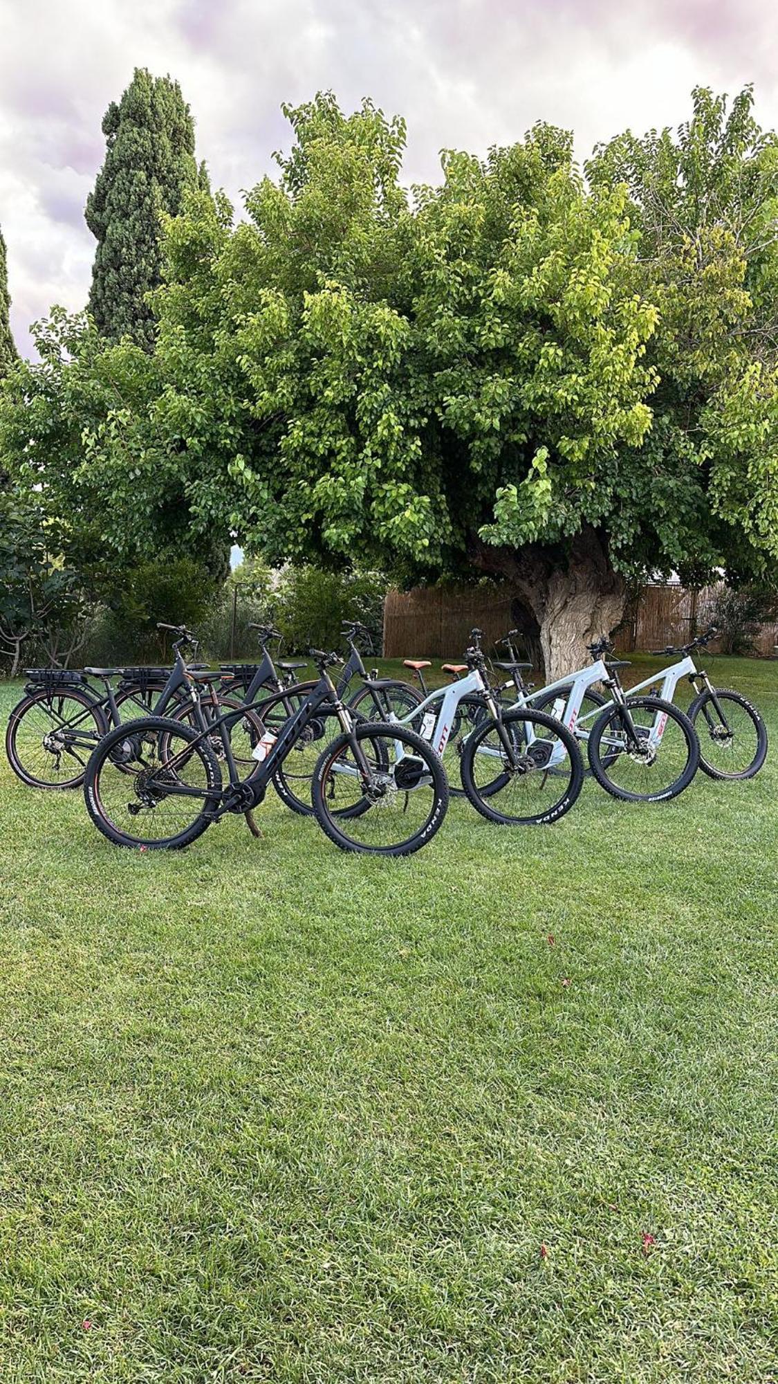Tenuta Coppa Zuccari Città Sant'Angelo Esterno foto